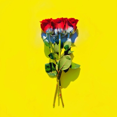 Worried - Single