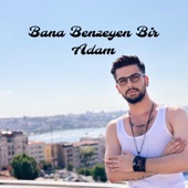 Bana Benzeyen Bir Adam artwork