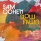 Another World (feat. Photay & Saundra Williams) - Sam Cohen lyrics