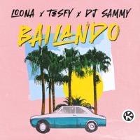 Bailando (Extended Mix) - Single - Loona, TESFY & DJ Sammy