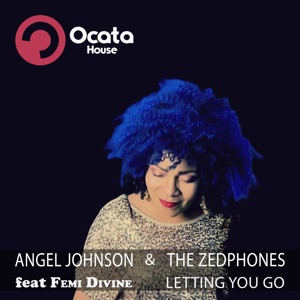 Letting You Go (feat. Femi Divine) - Single