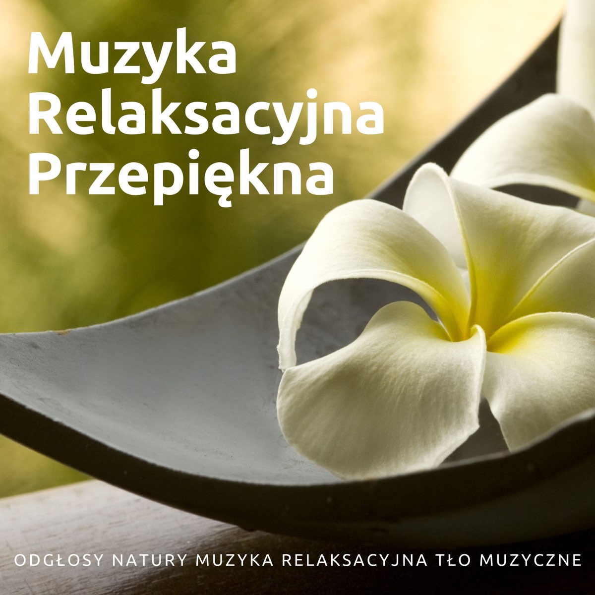 Muzyka Relaksacyjna Szum Morza śpiew Ptaków Muzyka Relaksacyjna Przepiękna - Odgłosy Natury Muzyka Relaksacyjna
