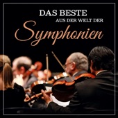 Symphonie Nr. 9 e-Moll, Op. 95 "Aus der Neuen Welt", II. Largo artwork