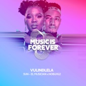 Vulindlela (feat. Nobuhle) artwork