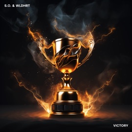 VICTORY (feat. S.O.) WLDHRT