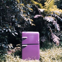 Homemade Hooplah (Band Version) - Single - Helena Holleran