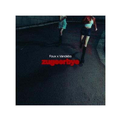Zugeer Bye - Single