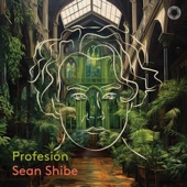 Profesión (Bonus Track Version) artwork