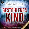 Gestohlenes Kind - Ein Theo Weiland-Thriller, Band 1 (Ungekürzt) - Caroline Seibt