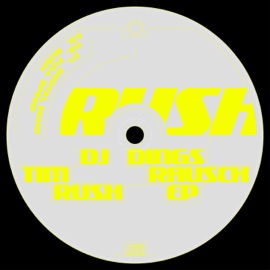 Digital Echo DJ Dings & Tim Rausch