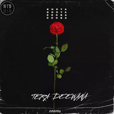 Tera Deewana - Single