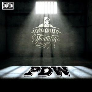 Pdw