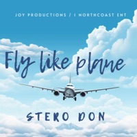 Fly Like Plane - Single - Stero Don