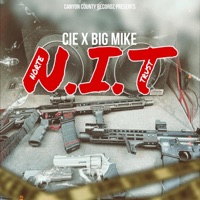 N.I.T - Single - Canyon County Recordz