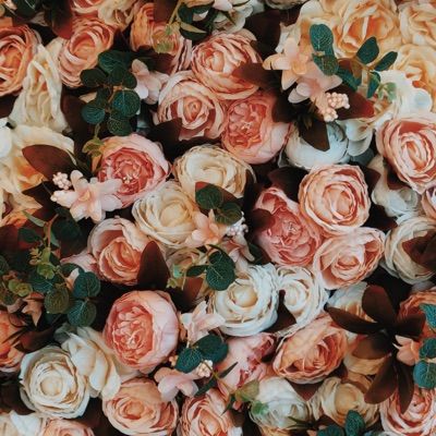 Hopeless Romantic "Instrumentals"