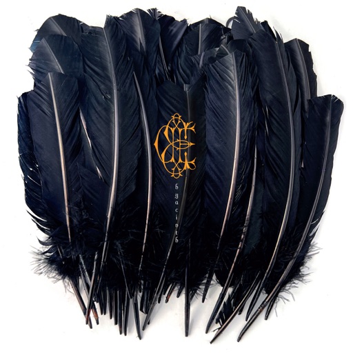 Album artwork