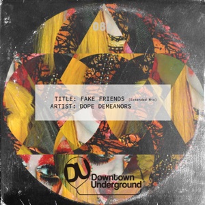 Fake Friends (Extended Mix) - Single