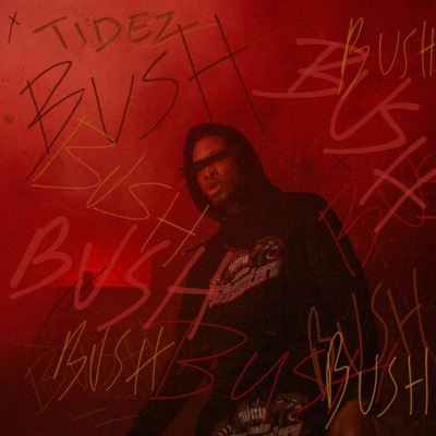 Bush - Single