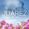 Costumbre - El Divo de Juárez lyrics