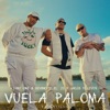 Vuela Paloma (feat. Gatillo)