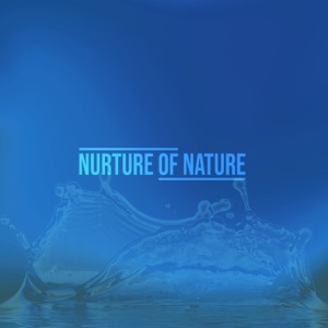 Sounds of Rain