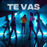 TE VAS - Single - Baby Dior