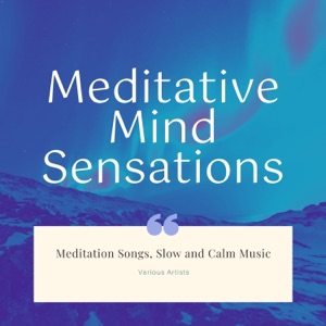 Meditative Mind Sensations