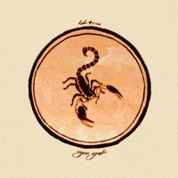 Signos Iguales - Single - Kiike & Remi