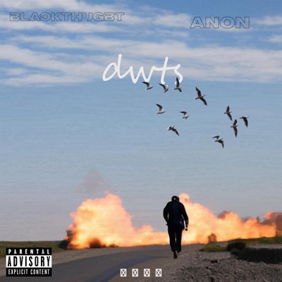 Dwts (feat. Anon) - Single