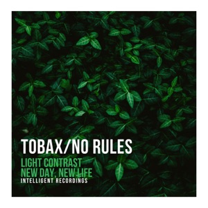 Light Contrast - Single