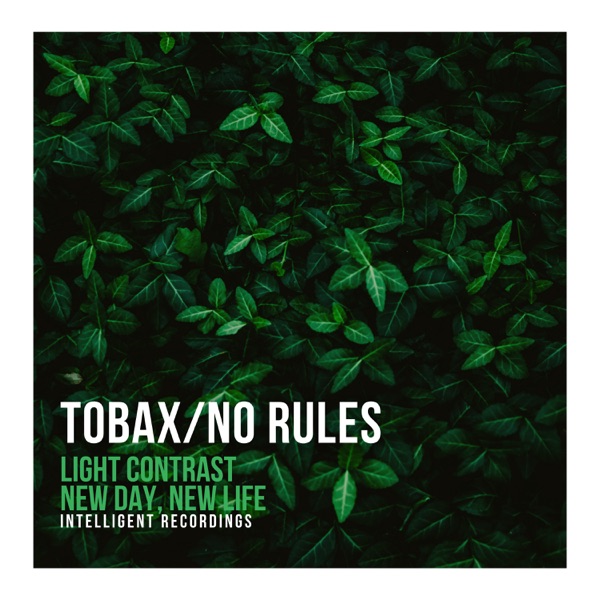 Light Contrast - Single
