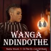 Wanga Ndindothe (feat. Ck the Dj & Lee SA Beatz) - Single