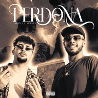 Perdona - Single - Asdin & NEWKILI