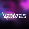 Wolves (Melodic Drill Instrumental) - Single