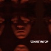 Wake Me Up (feat. AFTRWRDS) - Single