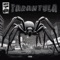 Tarantula artwork