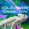 Colourless Chameleon - Suyash Medh lyrics