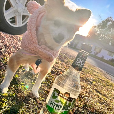 90 proof (feat. Yung JayAy) - Single