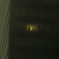 Never the Same - Single - Lowlifenick