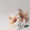 Softhearted - Tala Sky lyrics