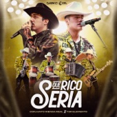 Qué Rico Sería artwork