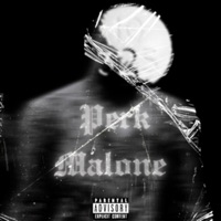 Perk Malone - Single - Perk Franklin