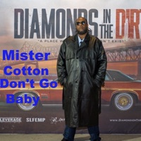 Don't Go Baby - Single - Mister Cotton