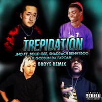 Trepidation (feat. Solid Gee, Shadrach Bennyboo & Godsun Da Faroah) [Okoye Remix] - Single - JNO