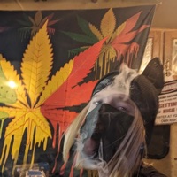 Trippin’.Ballz. - Single - PopeOf420