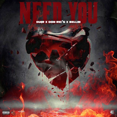 Need You (feat. Bellin) - Single