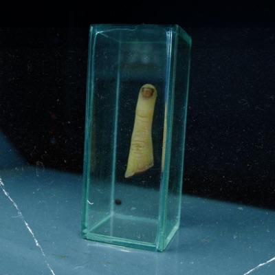 Vingerafdruk - Single