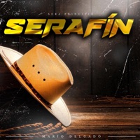 Serafín - Single - Mario Delgado Jr.