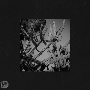 Cactus Gift - Single
