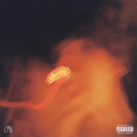 You Might Be Right - Single - Koi